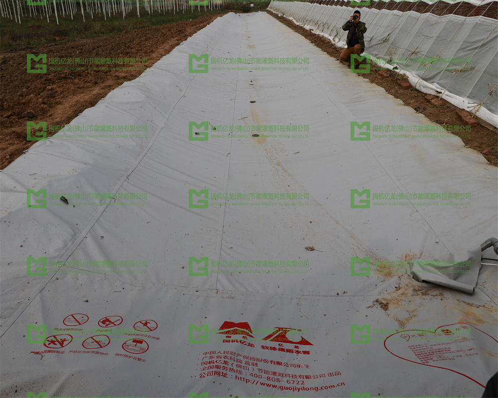 腾博汇游戏官网·(中国)专业服务,诚信为本