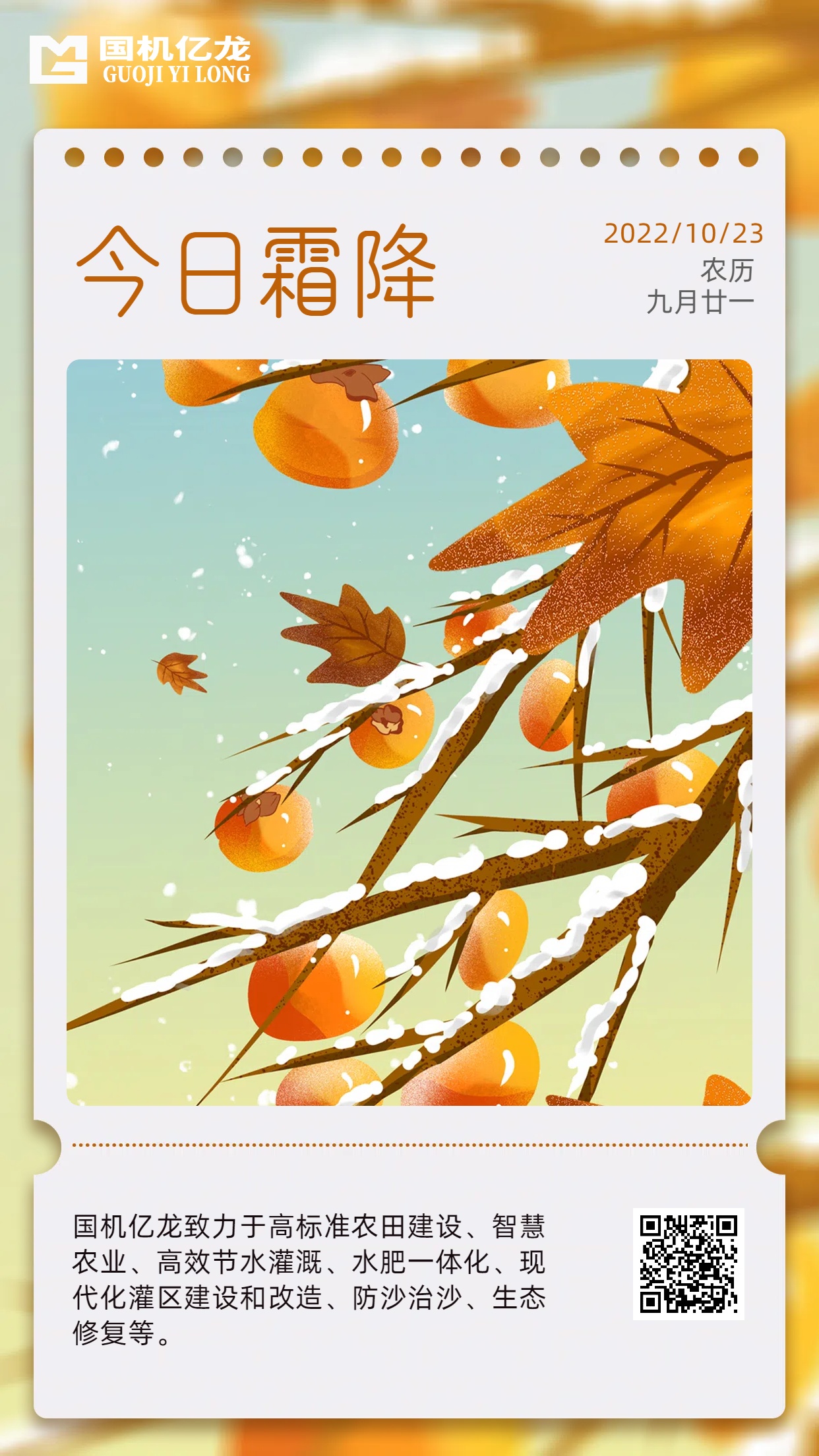 ڲϷ(й)רҵ,Ϊ