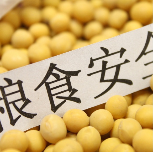 ڲϷ(й)רҵ,Ϊ